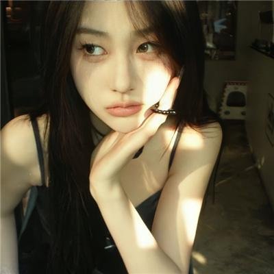 狮子护卫队第二季