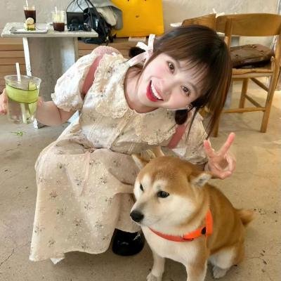 群青领域